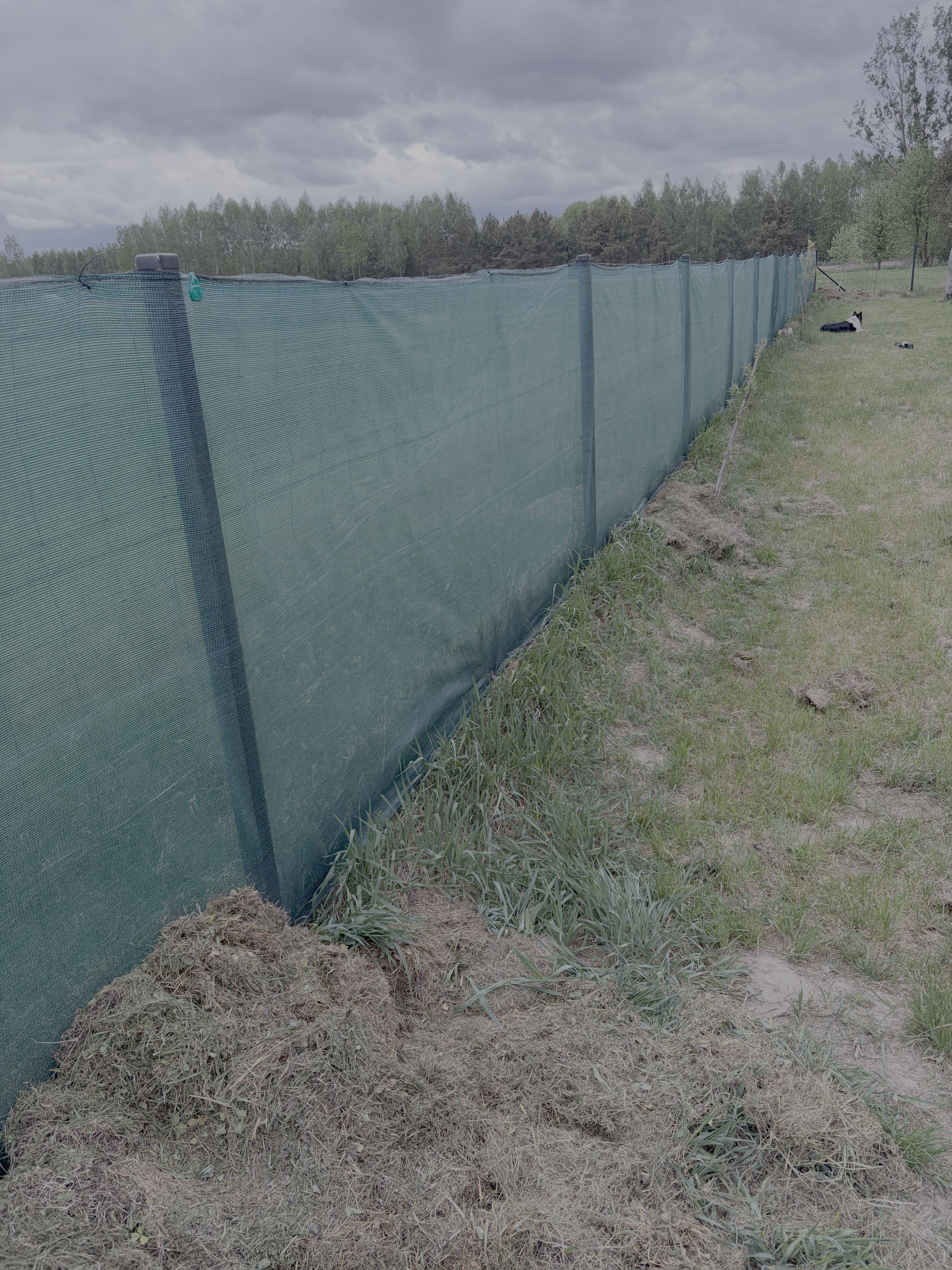 Green windbreak net along the upper edge of the vineyard