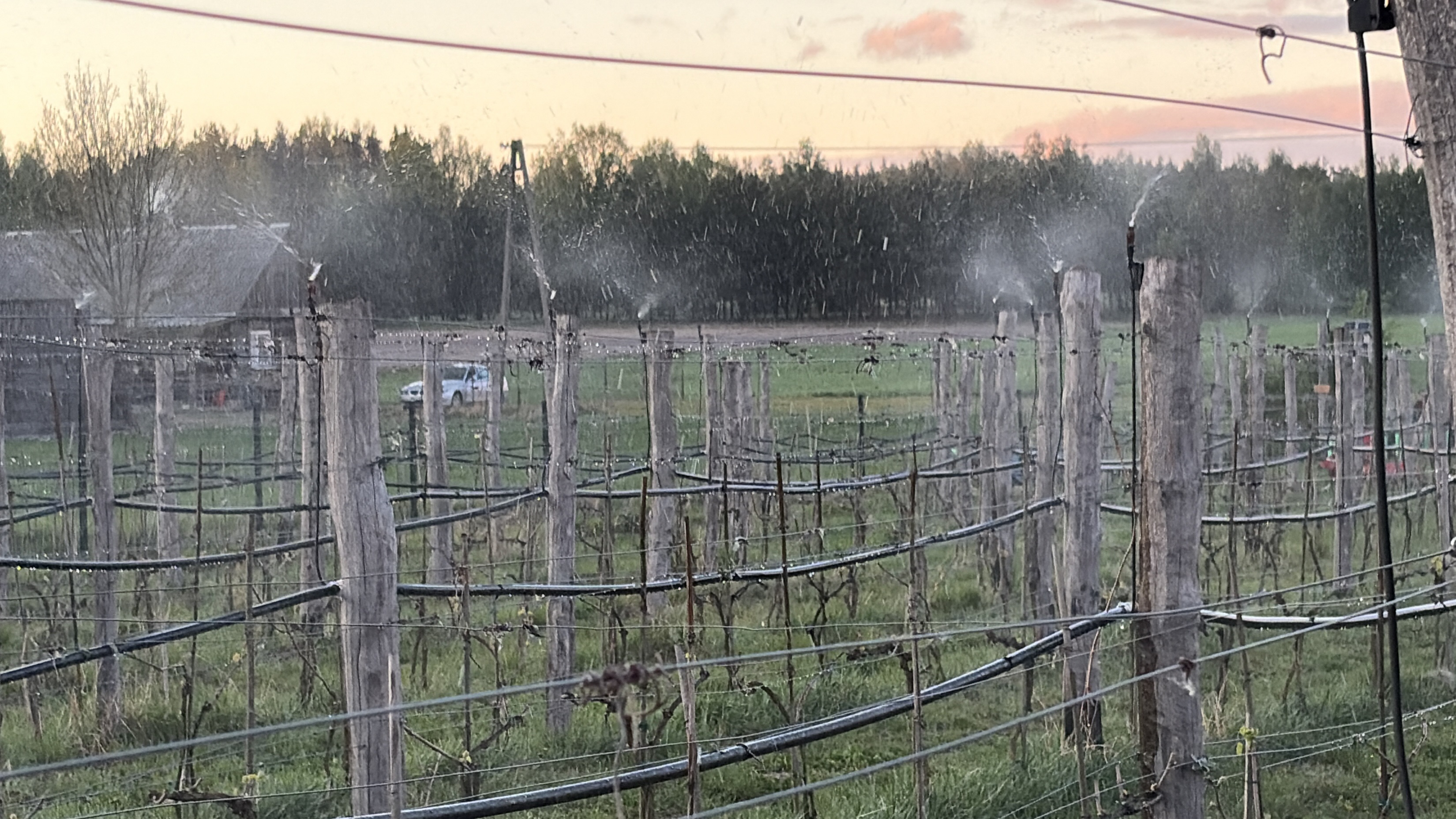 Sprinkler test just before sunset