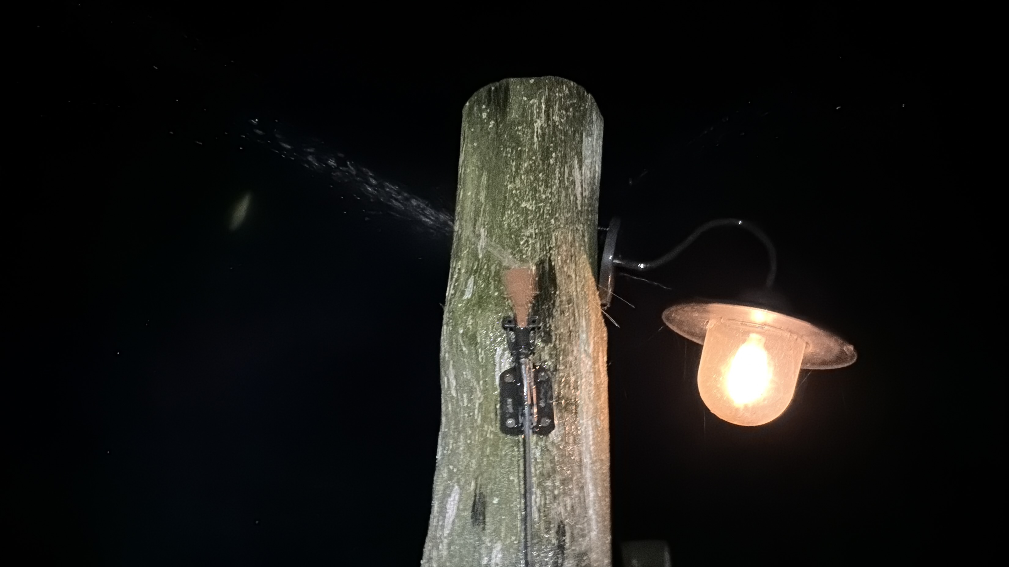 Sprinkler in action - water droplet in lantern light